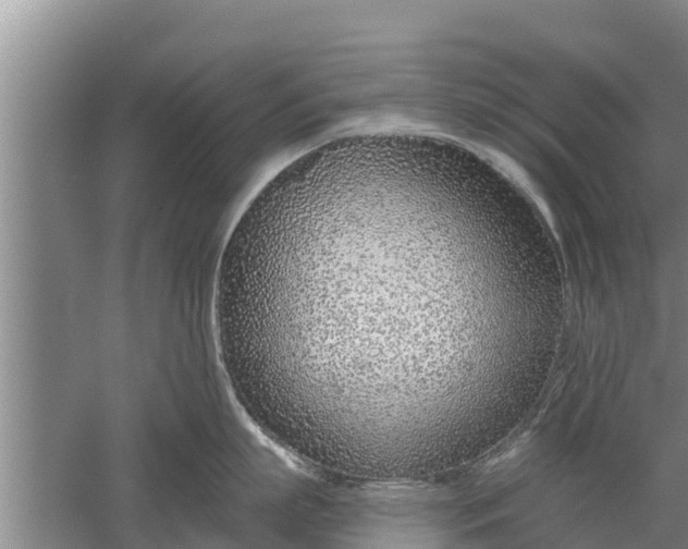 X0000052540863200507152131