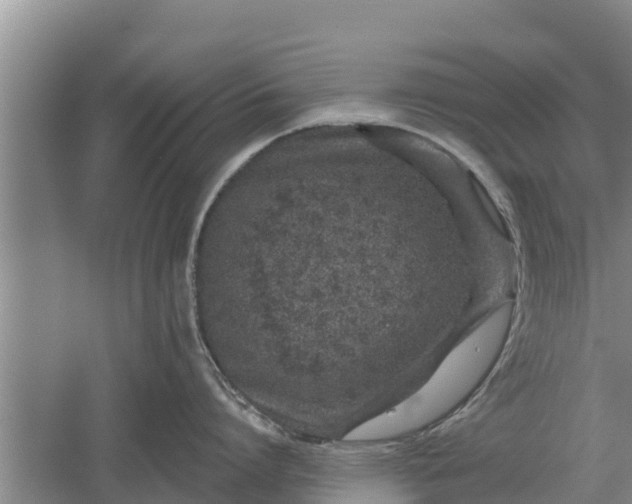 X0000052540864200507152131