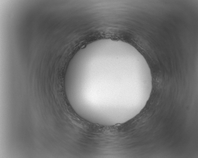 X0000052540865200507152130