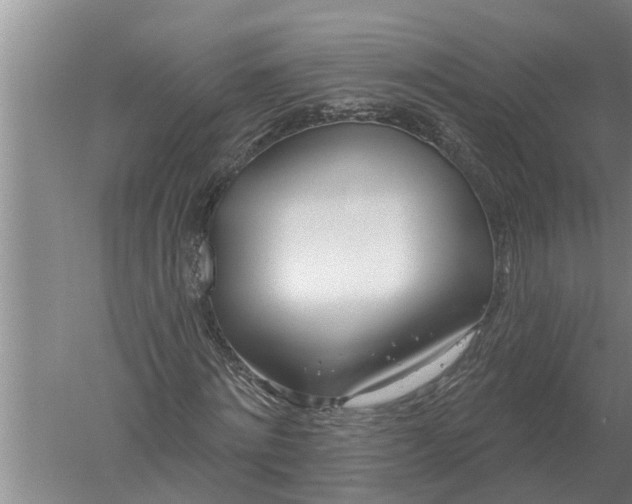 X0000052540868200507152130