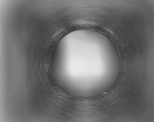 X0000052540869200507152130