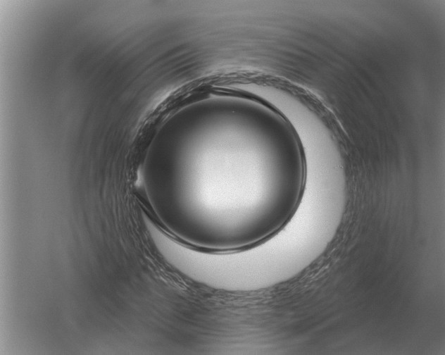 X0000052540871200507152130