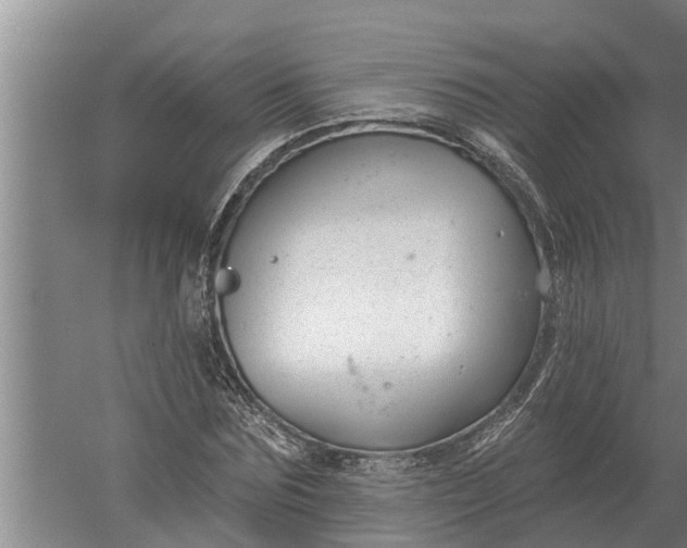 X0000052540875200507152130