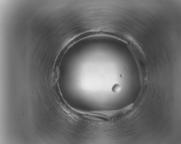 X0000052540876200507152130