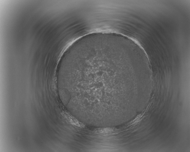 X0000052540879200507152130