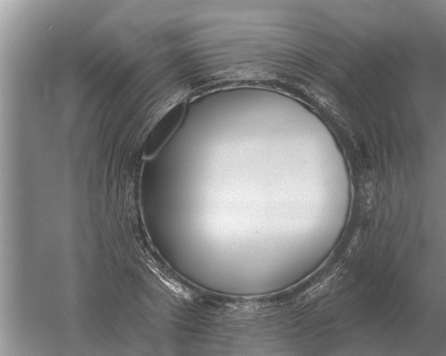 X0000052540881200507152130