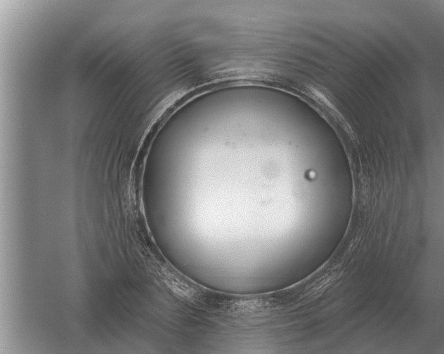 X0000052540883200507152130