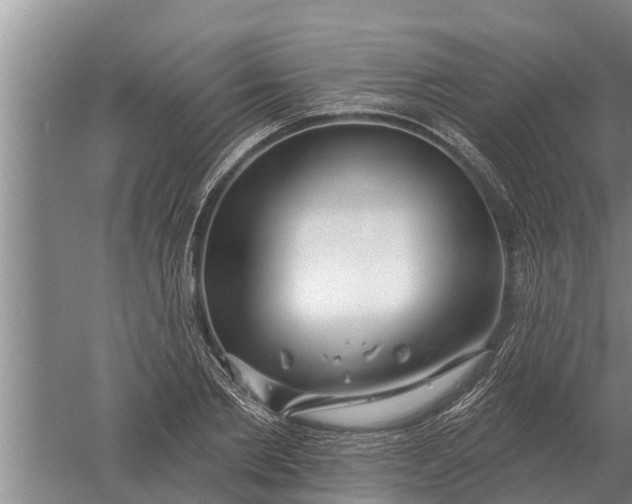 X0000052540885200507152130