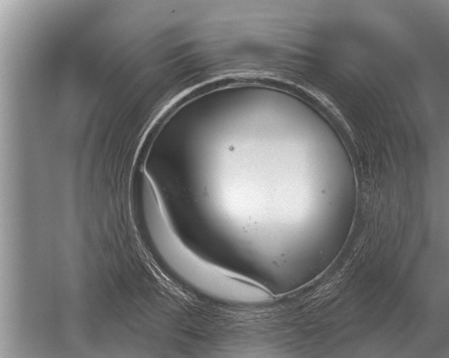 X0000052540887200507152130