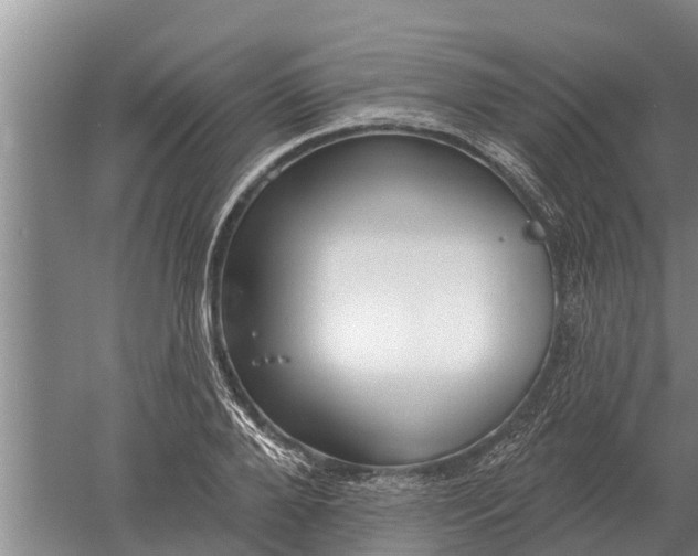 X0000052540888200507152130