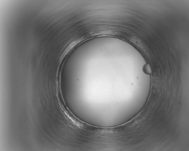 X0000052540890200507152130