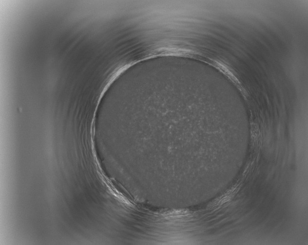 X0000052540891200507152130