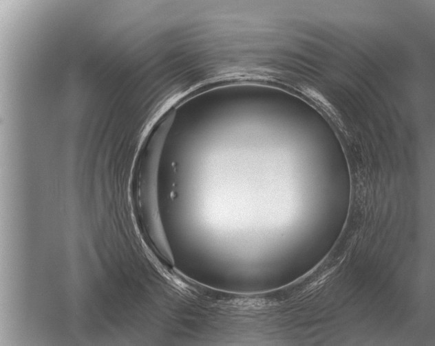 X0000052540893200507152130