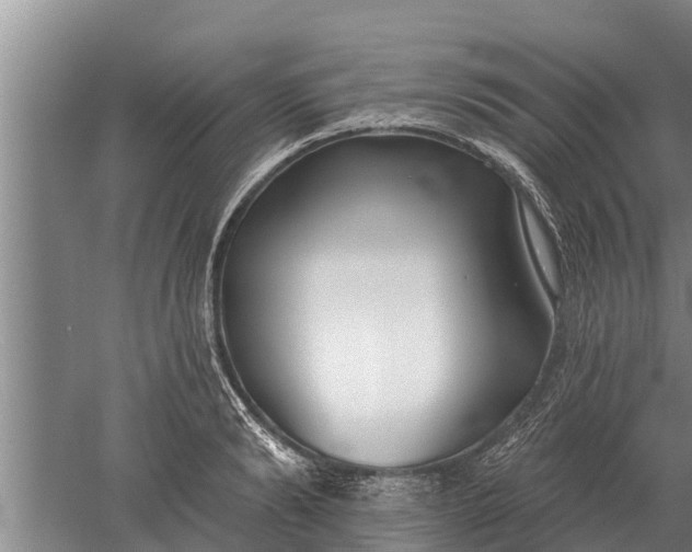 X0000052540894200507152130