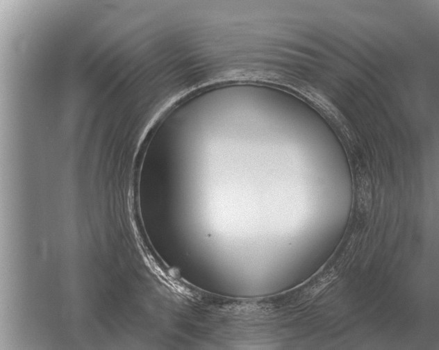 X0000052540896200507152130