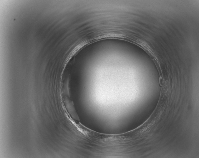 X0000052540898200507152130