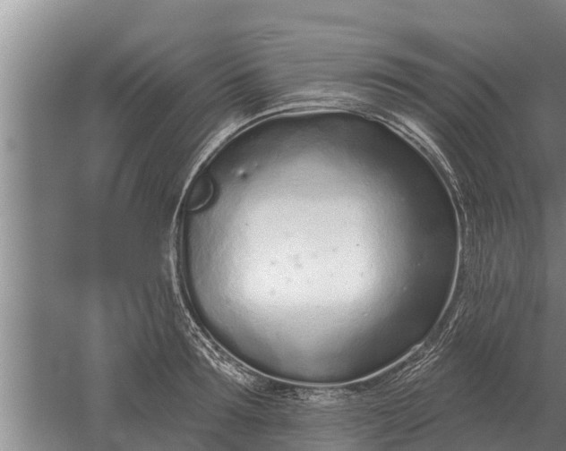 X0000052540899200507152130