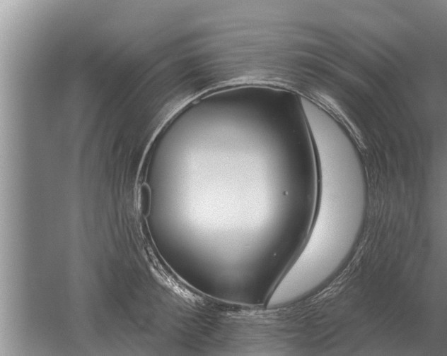 X0000052540900200507152130