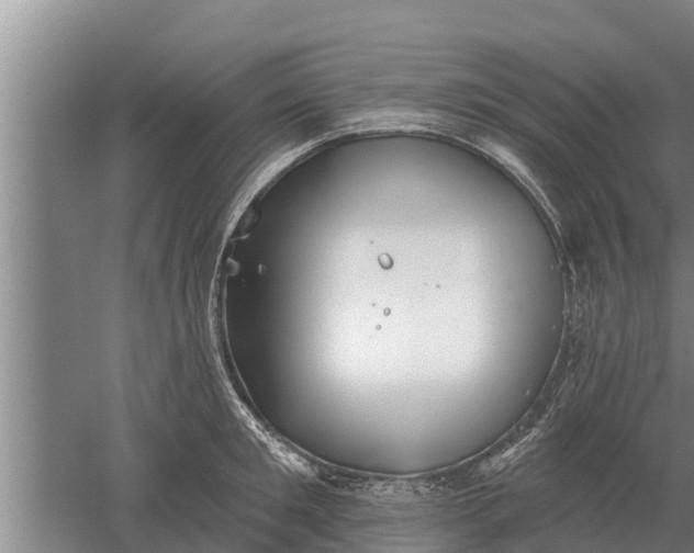 X0000052540901200507152130