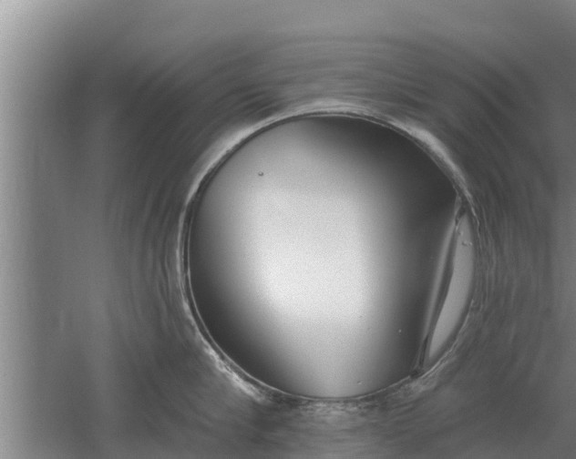 X0000052540910200507152129