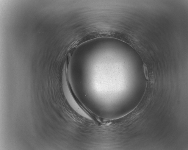 X0000052540916200507152129