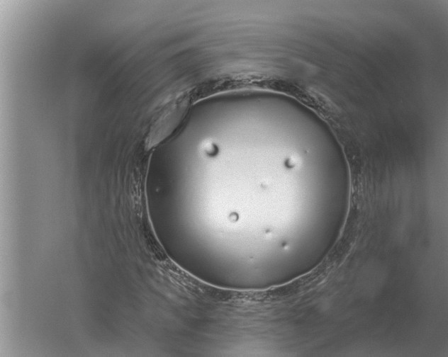 X0000052540917200507152129