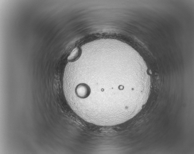 X0000052540918200507152129