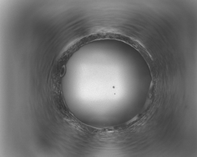 X0000052540919200507152129