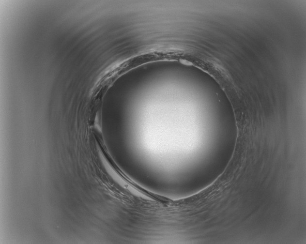 X0000052540920200507152129