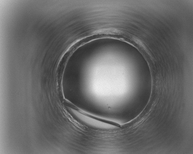 X0000052540923200507152129