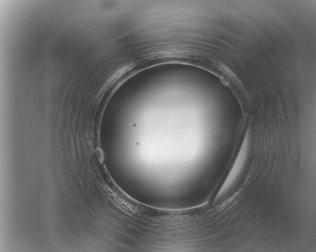 X0000052540930200507152129