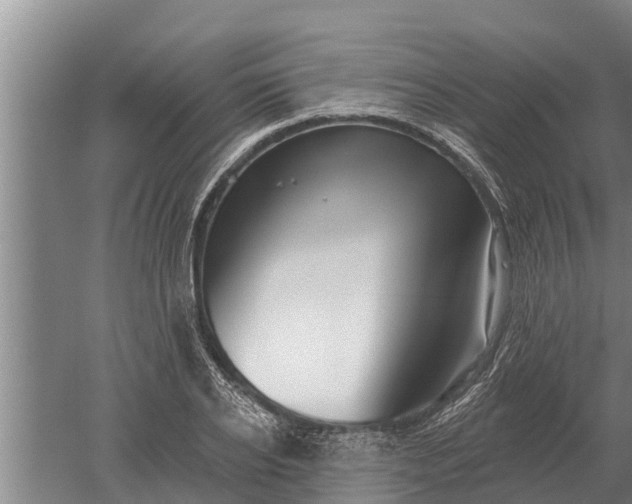 X0000052540934200507152129