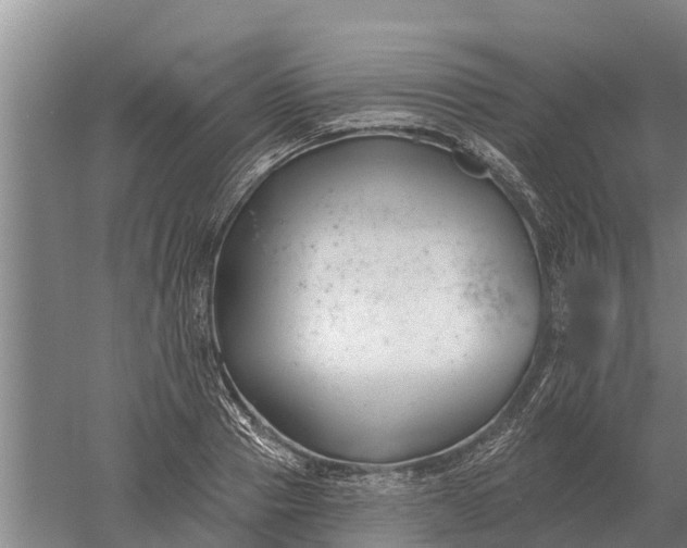 X0000052540937200507152129