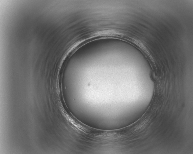 X0000052540939200507152129