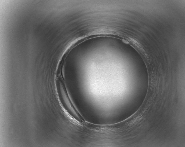 X0000052540942200507152129