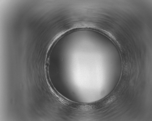 X0000052540943200507152129