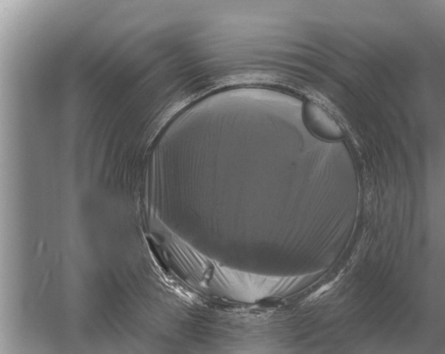 X0000052540945200507152129