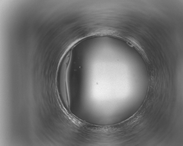 X0000052540948200507152129