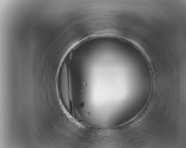 X0000052540949200507152129