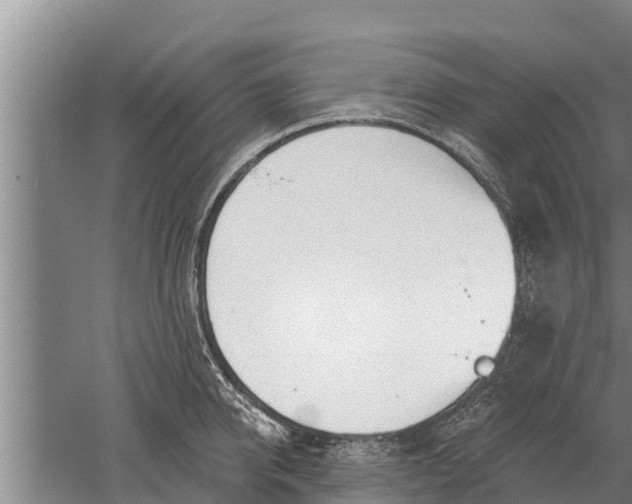 X0000052540950200507152129