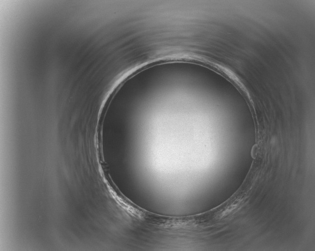 X0000052540951200507152129