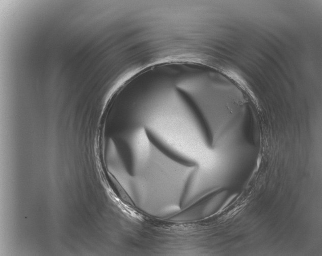 X0000052540952200507152129