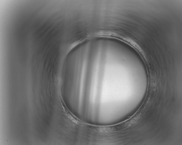 X0000052540953200507152129