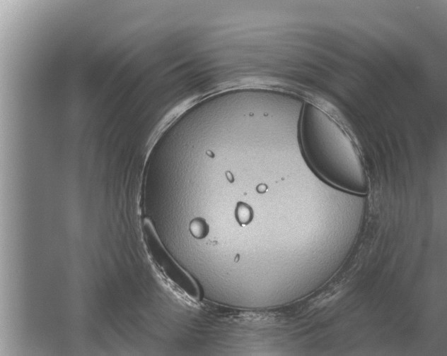 X0000052540954200507152129