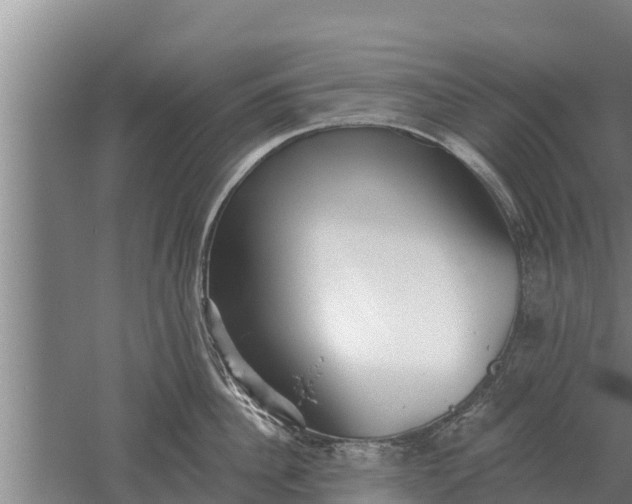 X0000052540956200507152129