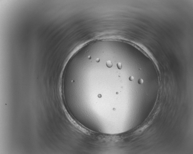 X0000052540957200507152129