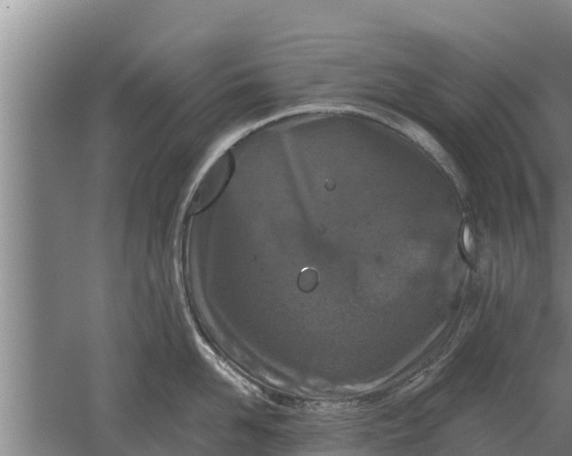 X0000052540958200507152129