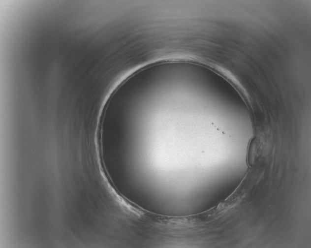 X0000052540959200507152129