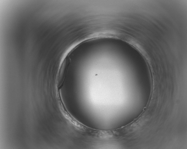 X0000052540960200507152129