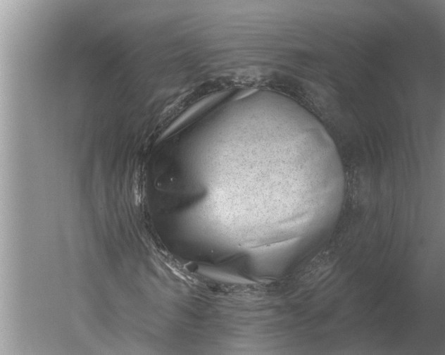 X0000052540962200507152128